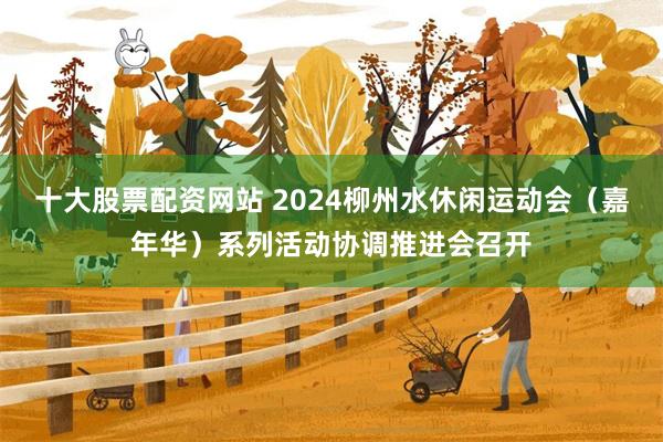 十大股票配资网站 2024柳州水休闲运动会（嘉年华）系列活动协调推进会召开