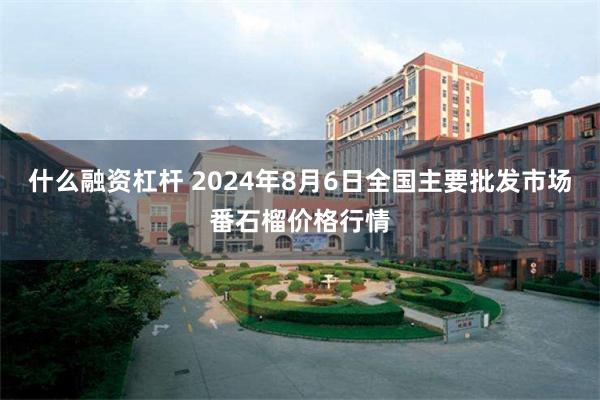 什么融资杠杆 2024年8月6日全国主要批发市场番石榴价格行情