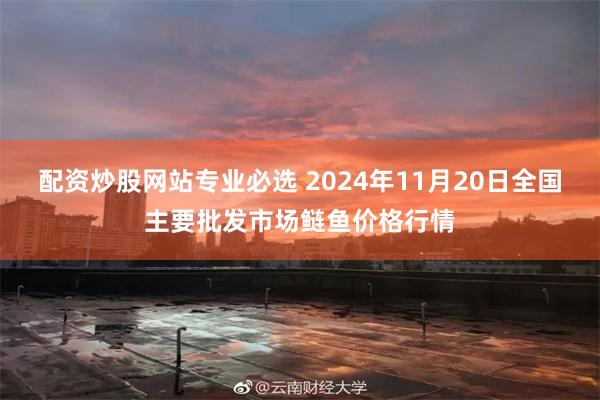 配资炒股网站专业必选 2024年11月20日全国主要批发市场鲢鱼价格行情