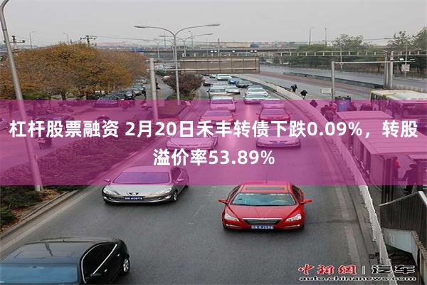 杠杆股票融资 2月20日禾丰转债下跌0.09%，转股溢价率53.89%