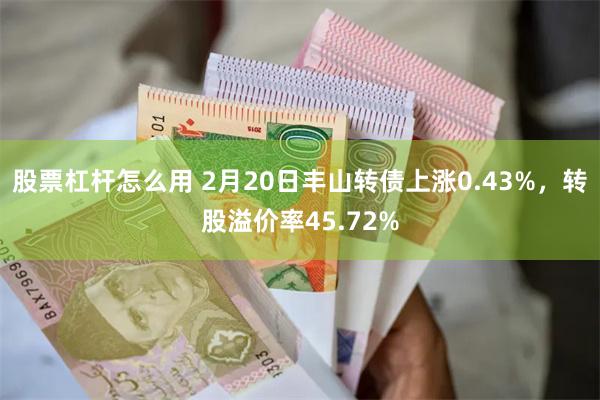 股票杠杆怎么用 2月20日丰山转债上涨0.43%，转股溢价率45.72%