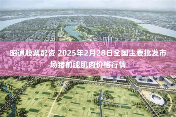 昭通股票配资 2025年2月28日全国主要批发市场猪前腿肌肉价格行情