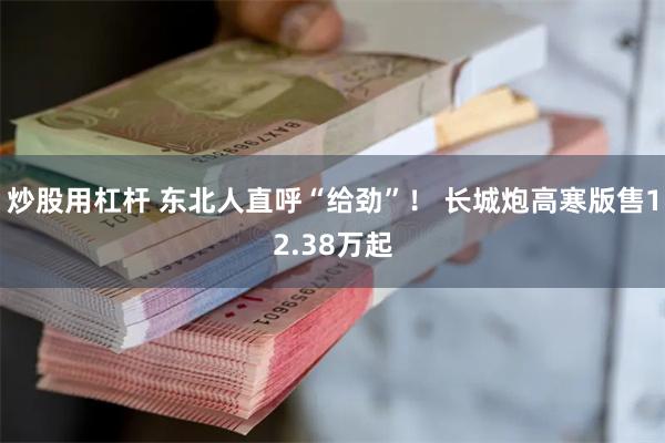 炒股用杠杆 东北人直呼“给劲”！ 长城炮高寒版售12.38万起